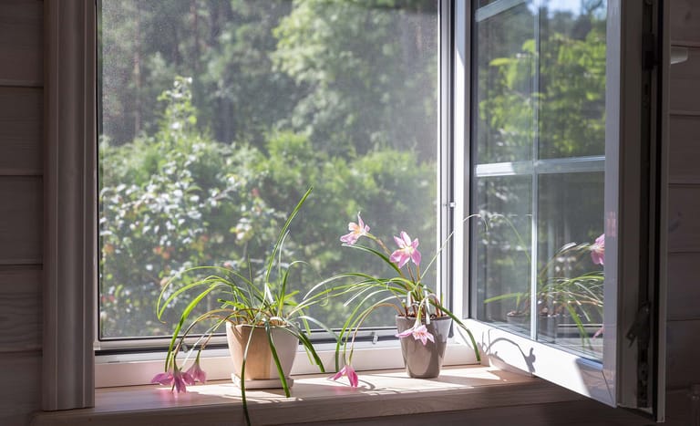 Insektenschutzrahmen am Fenster